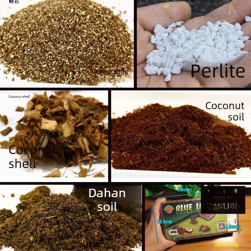 Sphagnum Moss Dry - Substrato de Fibra de Coco para