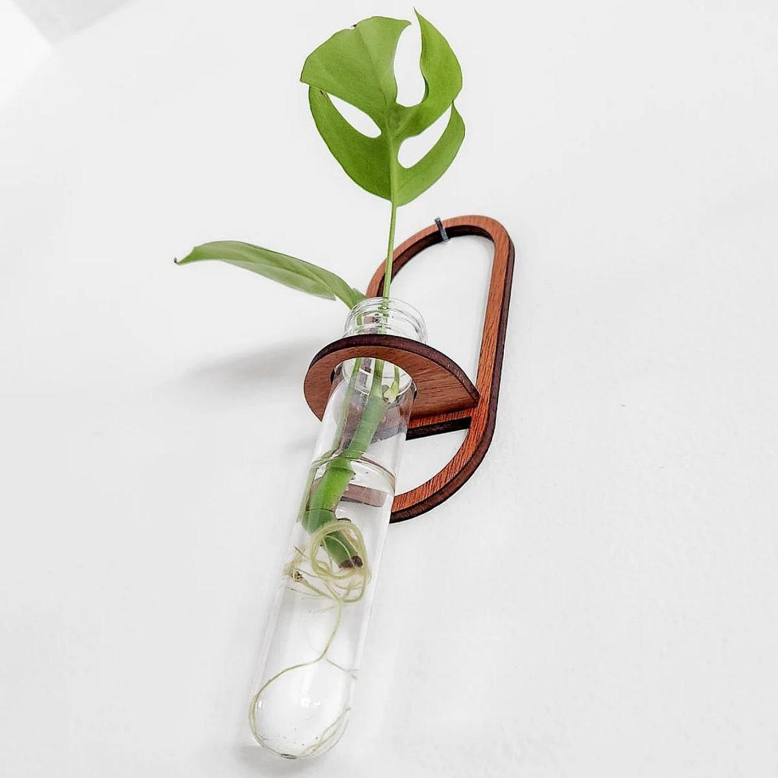 Propagation Station Vase - Vaso de plantas hidropônicas, prateleira de
