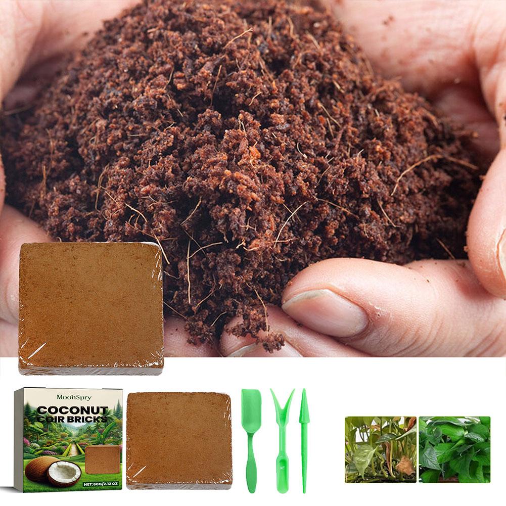 Sphagnum Moss Dry - Tijolo de Fibra de Coco -