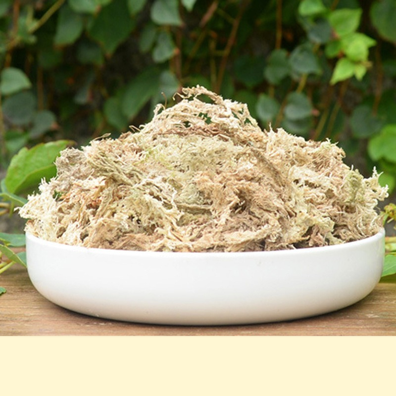 Sphagnum Moss Dry - Substrato de Musgo Sphagnum para Terrários