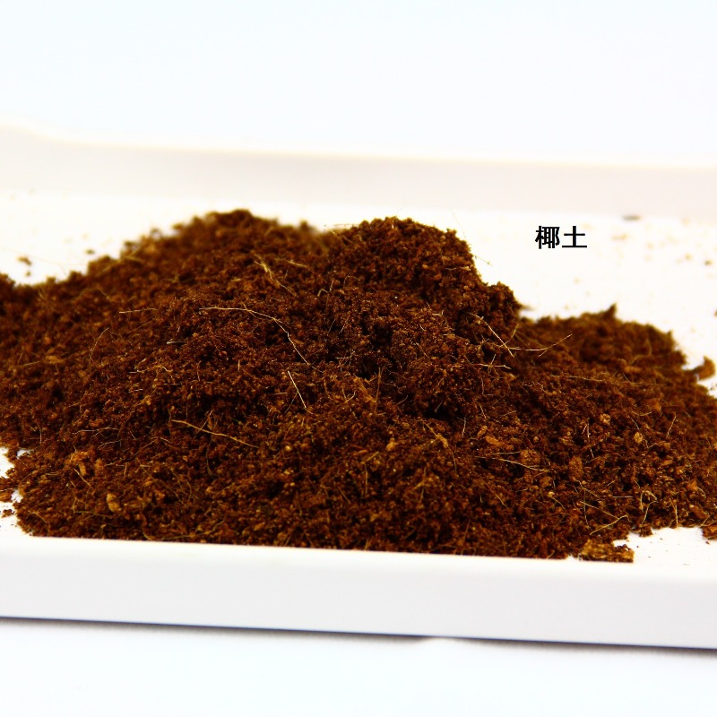 Substrato de Fibra de Coco par - Sphagnum Moss Dry avaliação e preço