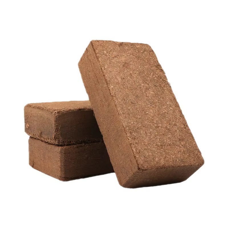 Substrato para Répteis: Tijolo - Sphagnum Moss Dry avaliação e preço