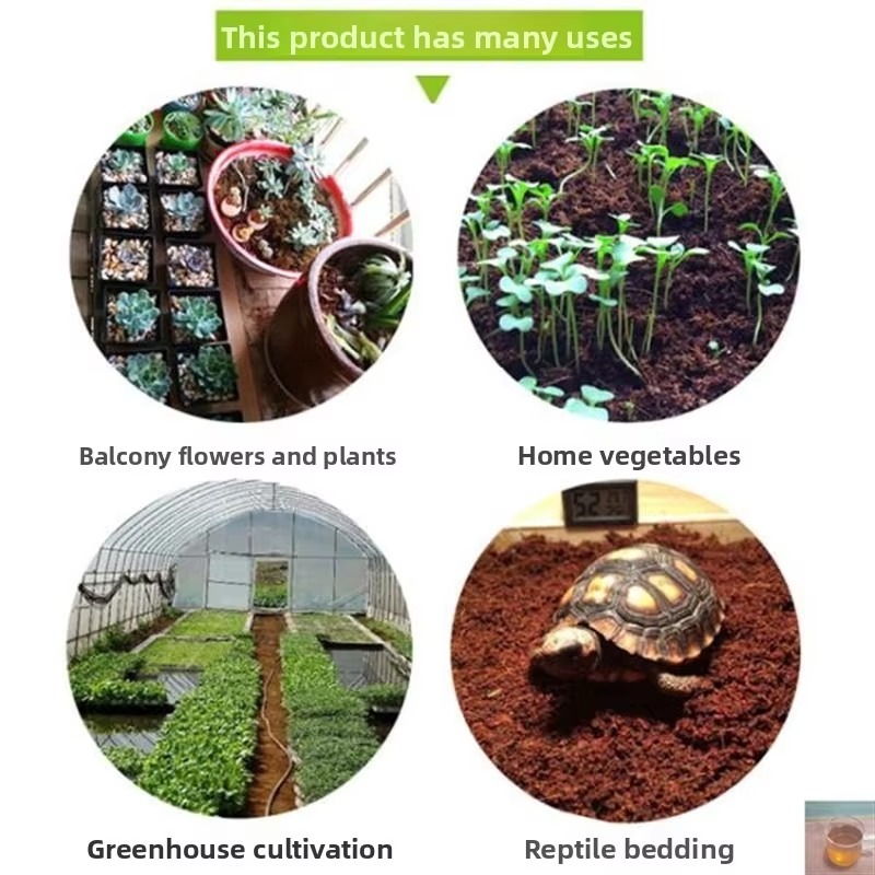 Substrato para Répteis: Tijolo - Sphagnum Moss Dry avaliação e preço