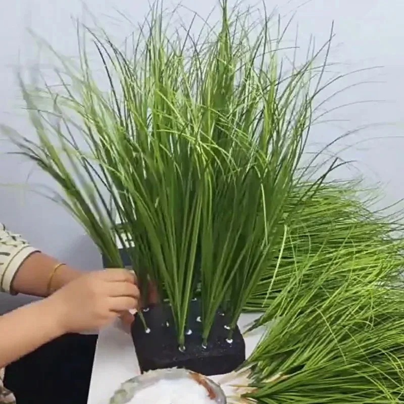 Planta Simulada, Grama de Cebo - Sphagnum Moss Dry avaliação e preço