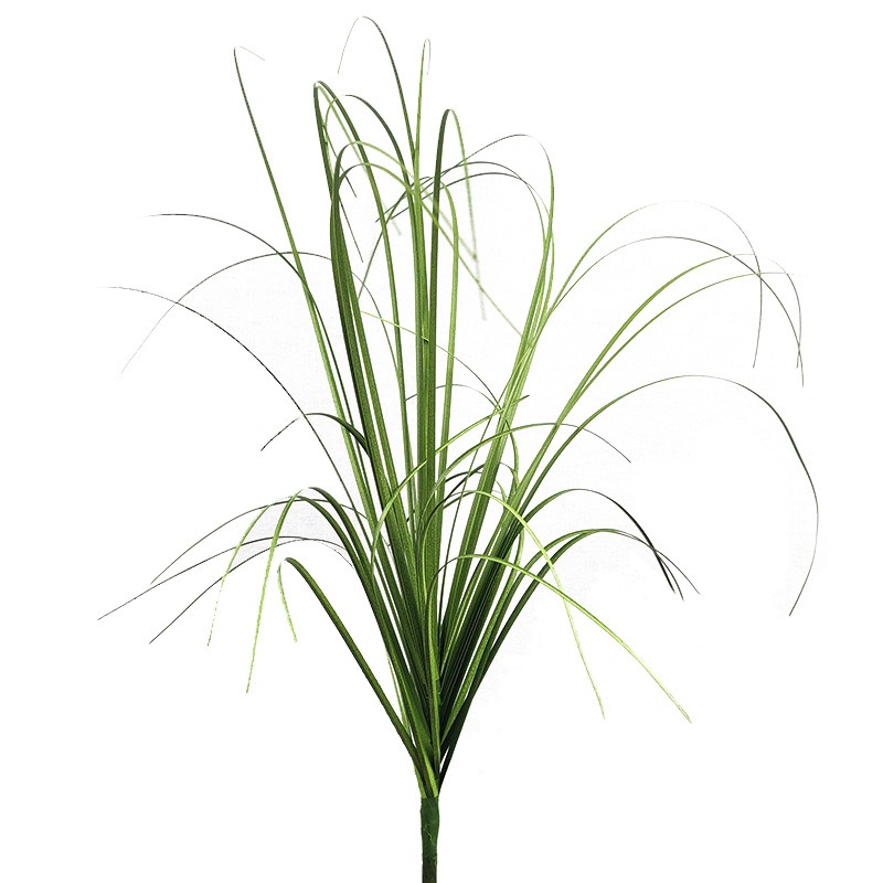 Planta Simulada, Grama de Cebo - Sphagnum Moss Dry avaliação e preço