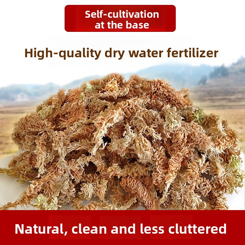 Musgo Sphagnum Seco de Grau A, - Sphagnum Moss Dry avaliação e preço