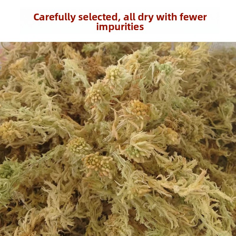 Musgo Sphagnum Seco de Grau A, - Sphagnum Moss Dry avaliação e preço