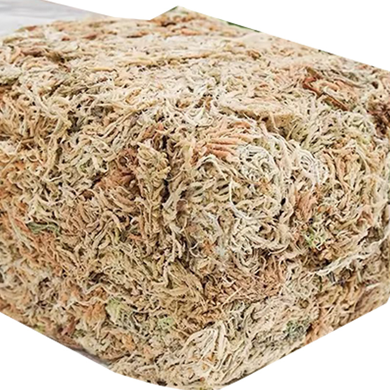Substrato de Musgo Sphagnum pa - Sphagnum Moss Dry avaliação e preço