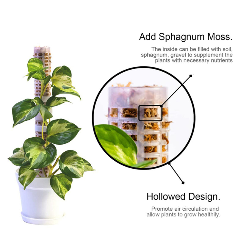 Pau de Musgo Plástico Empilháv - Sphagnum Moss Dry avaliação e preço